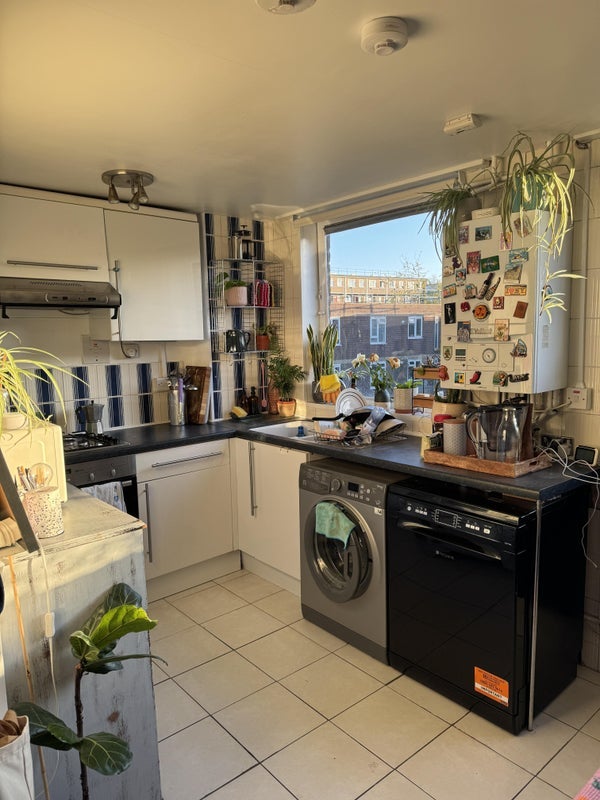 Flat Mansford Street in Greater London
