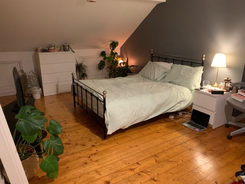 Room Daubeney Road in Greater London