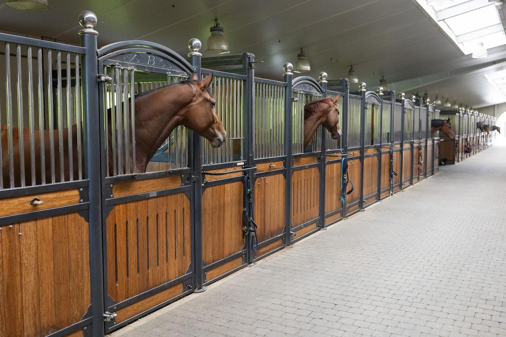Woning te koop: Geelster, Oldenzaal
