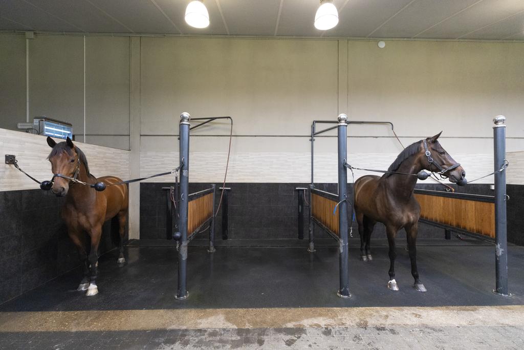 Woning te koop: Geelster, Oldenzaal