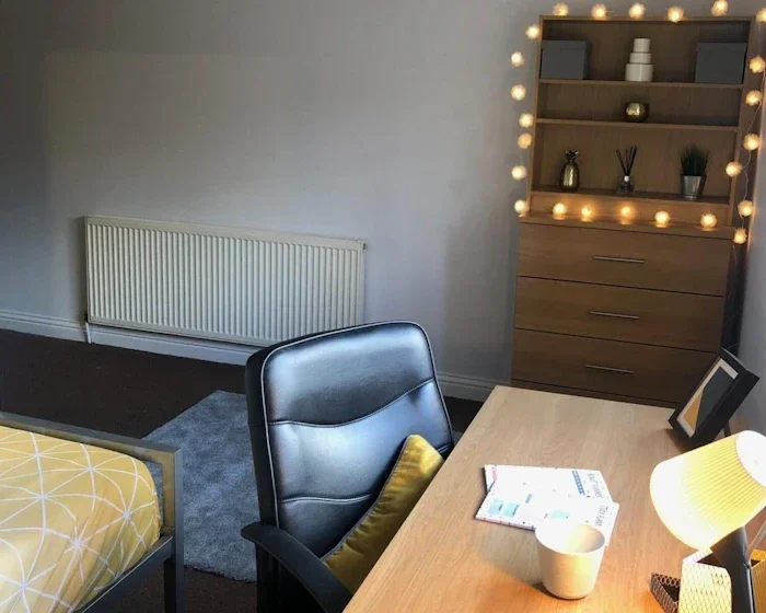 Flat Kenyon Street in Sheffield