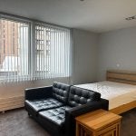 Flat Canning Place in Liverpool