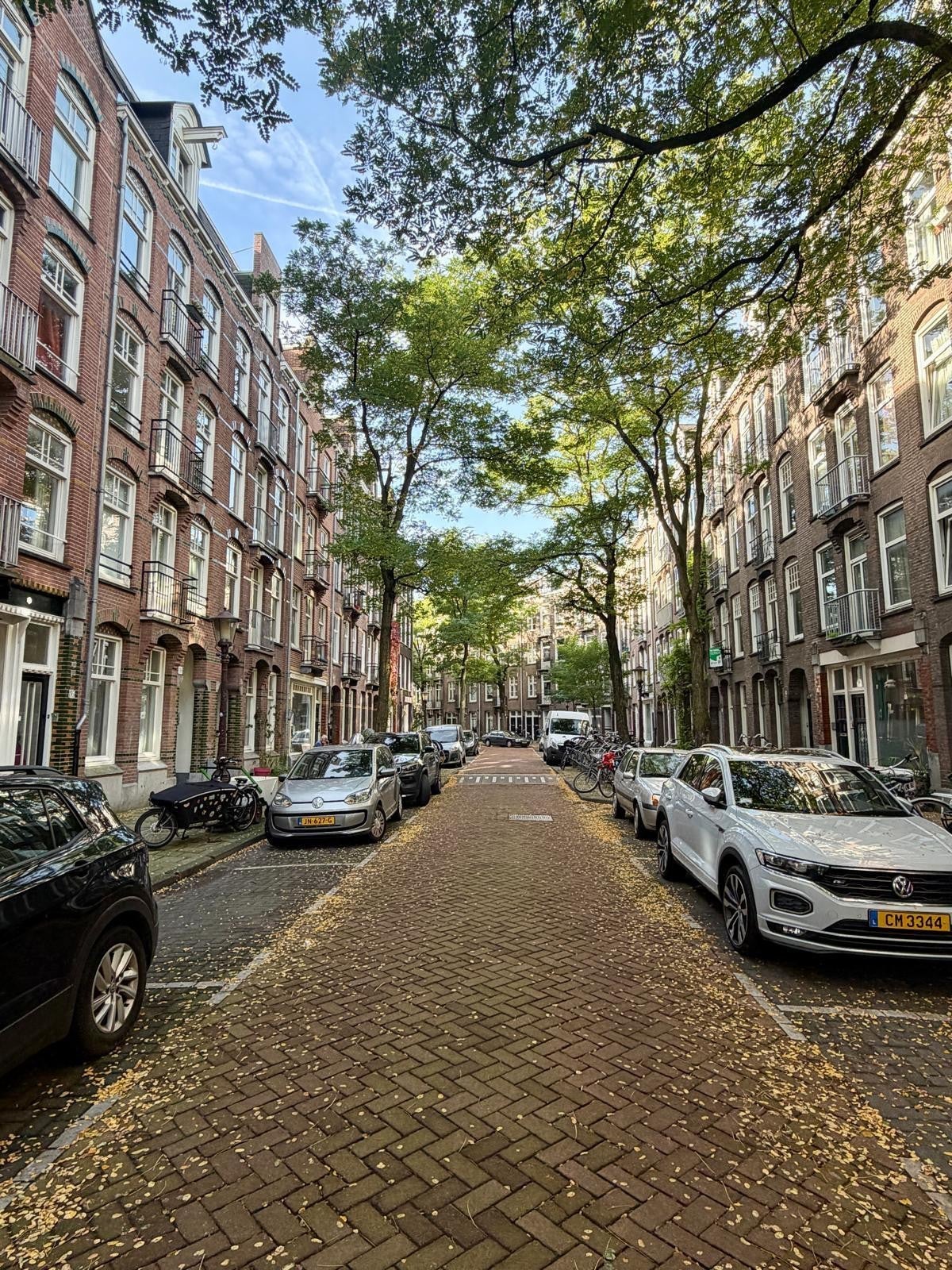 Flat Wilhelminastraat in Amsterdam