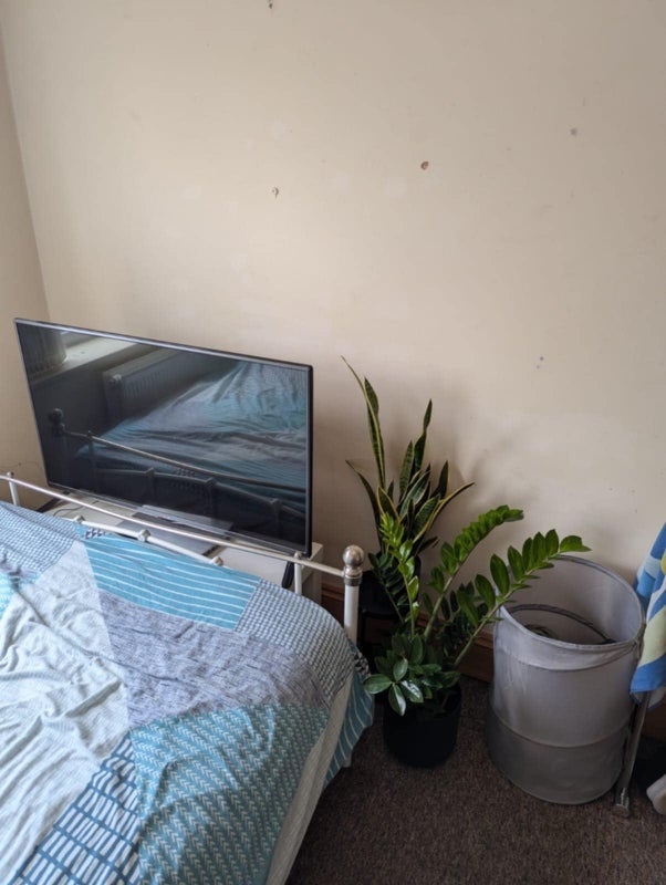 Room Osborne Road in Bristol
