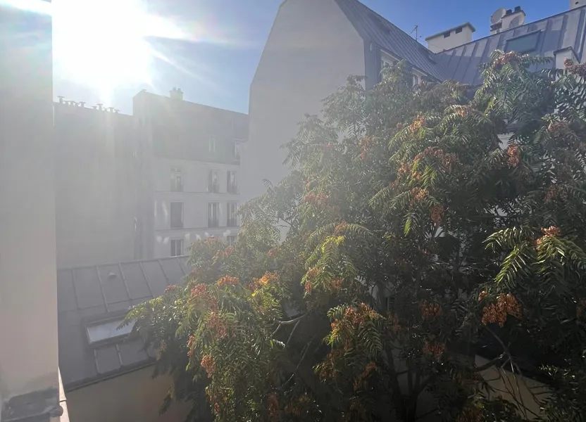 Flat Rue Saint-Sébastien in Paris