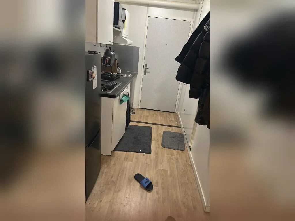 Flat Ringslangpad in Amsterdam