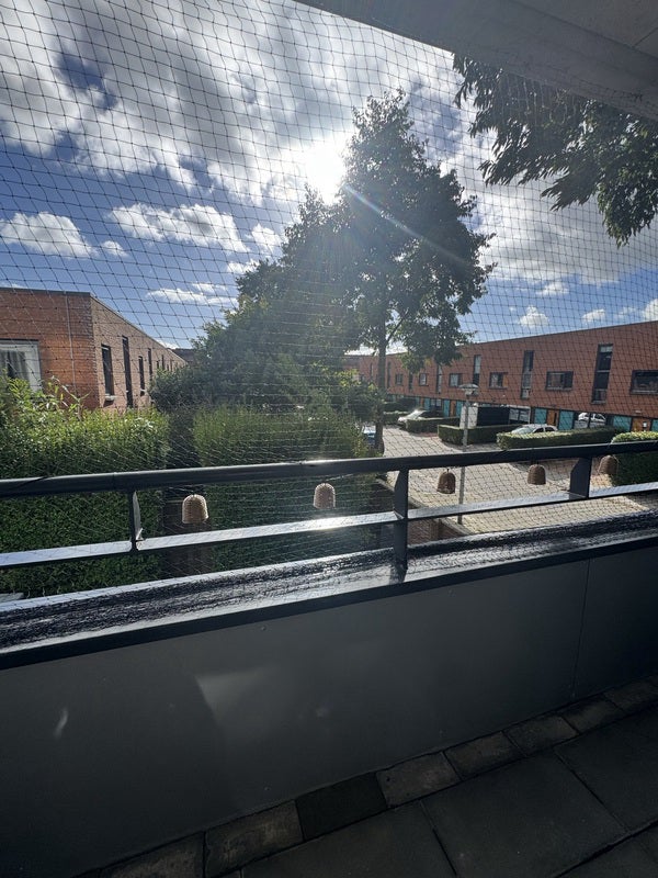 Appartement Beeldsnijderstraat 2