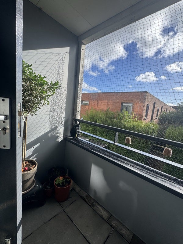 Appartement Beeldsnijderstraat 3
