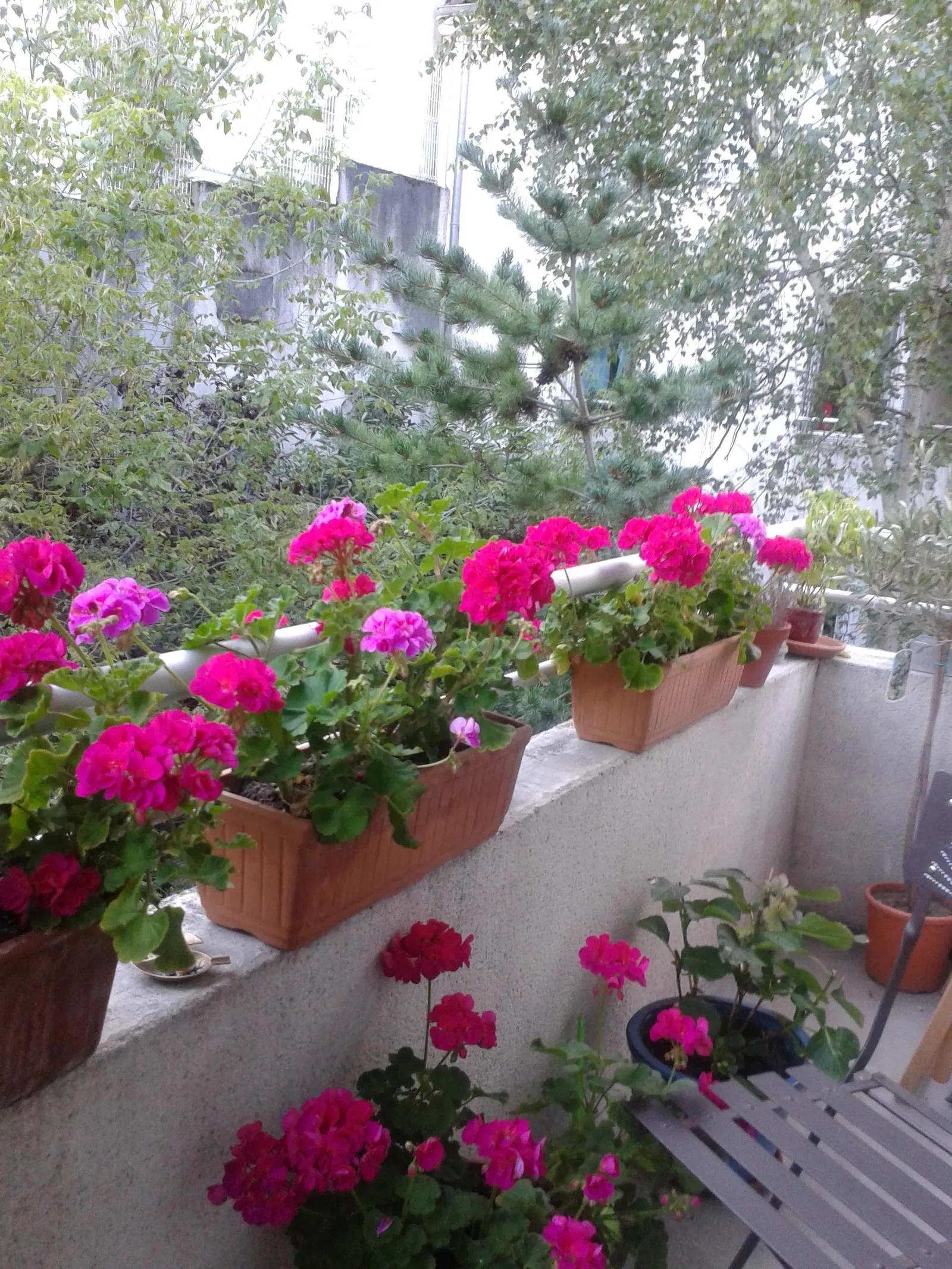 Room Rue Guilleminot in Chaville