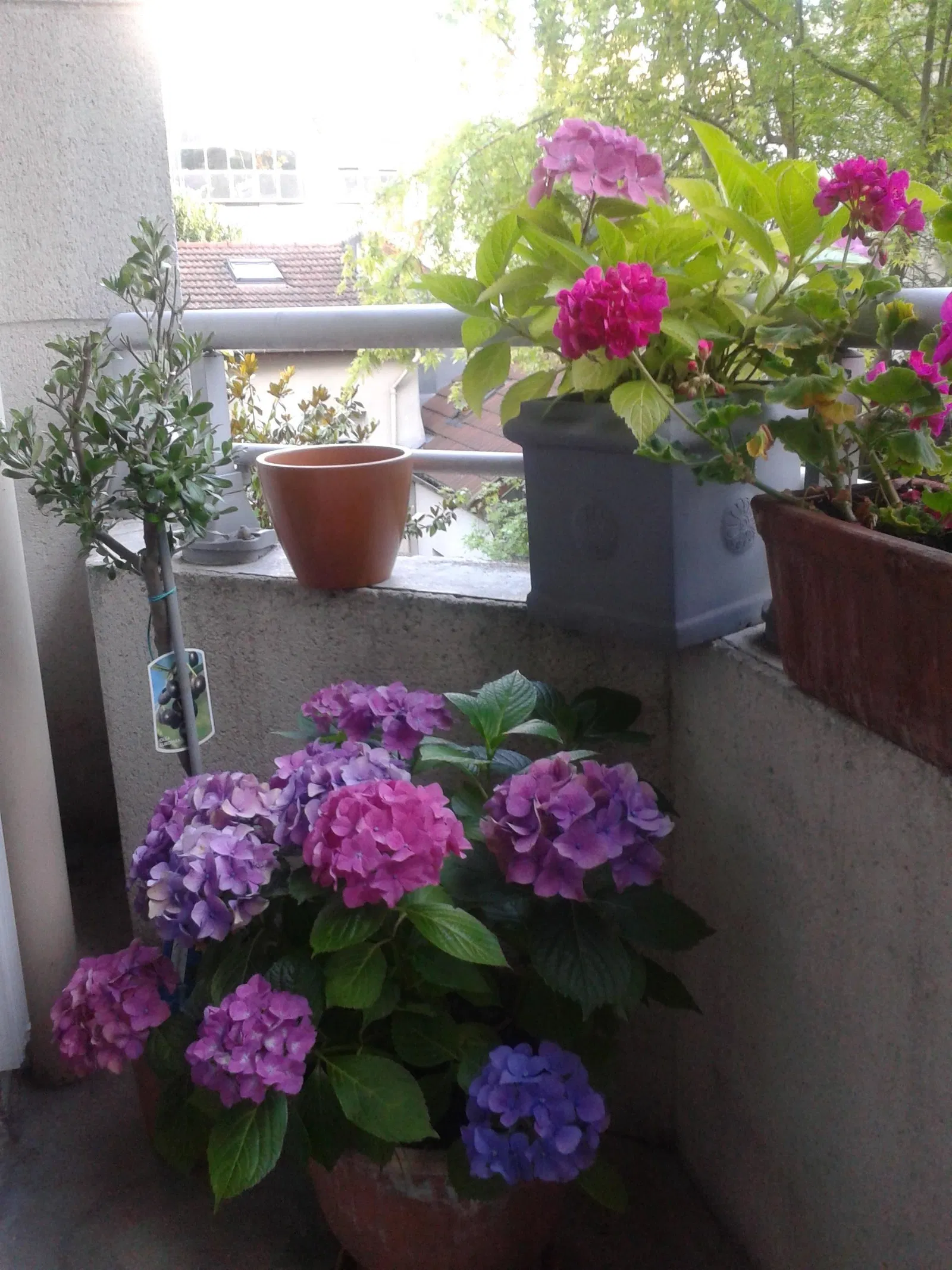 Room Rue Guilleminot in Chaville