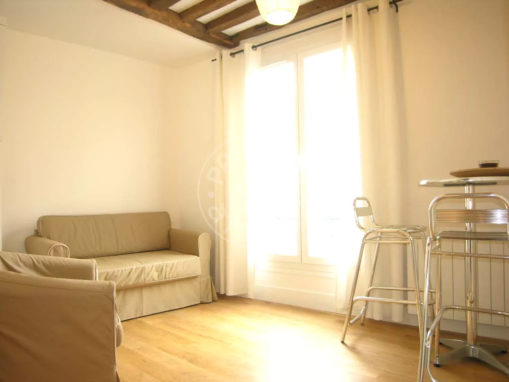 Flat Rue Saint-André des Arts in Paris