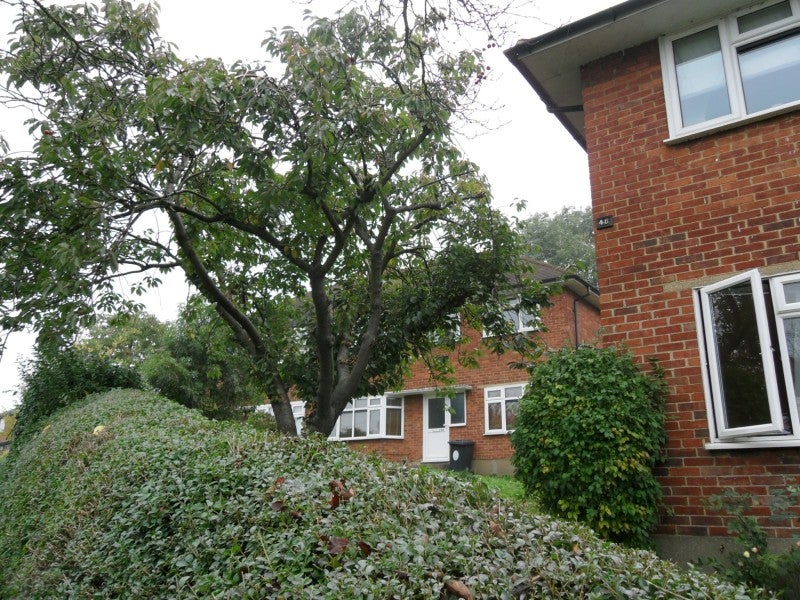 Flat Sewardstone Gardens in Greater London