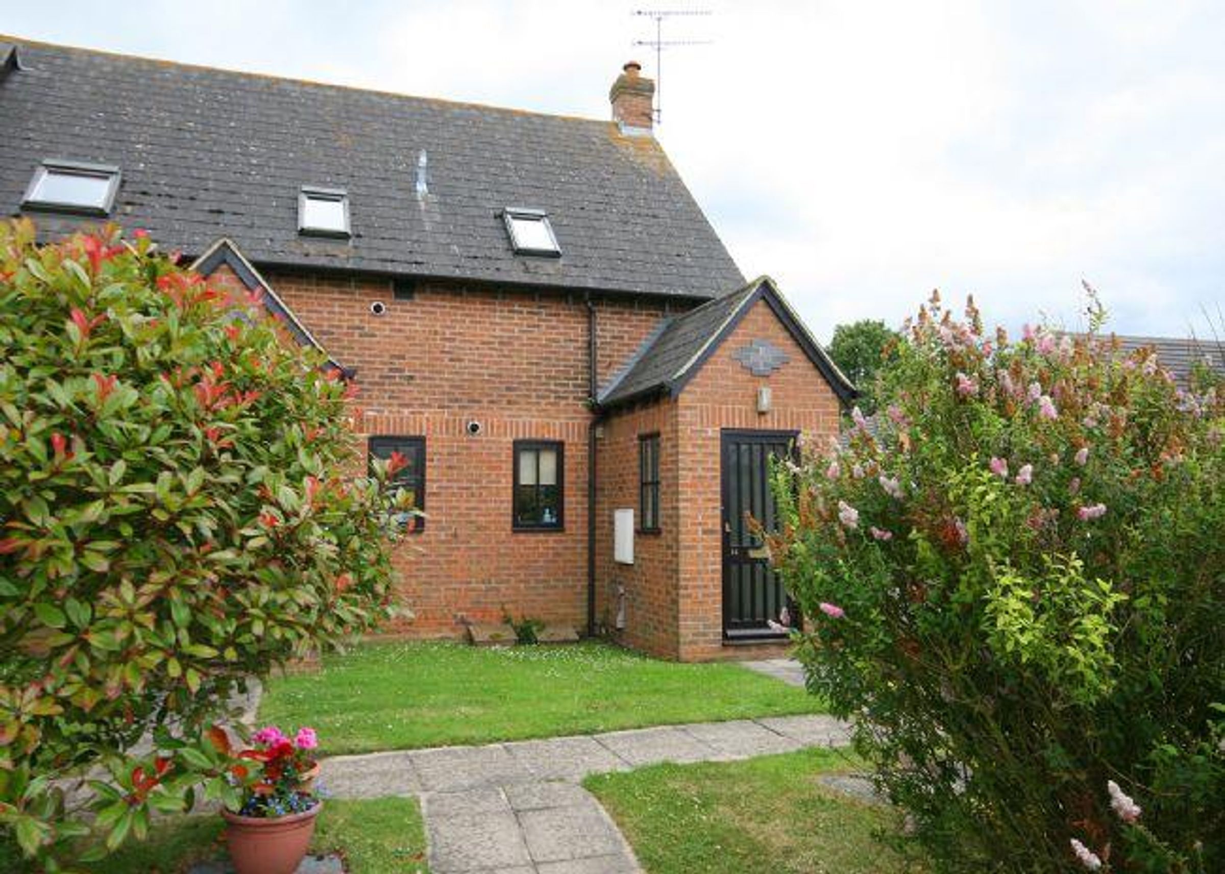 Flat Poplars Close in Stone