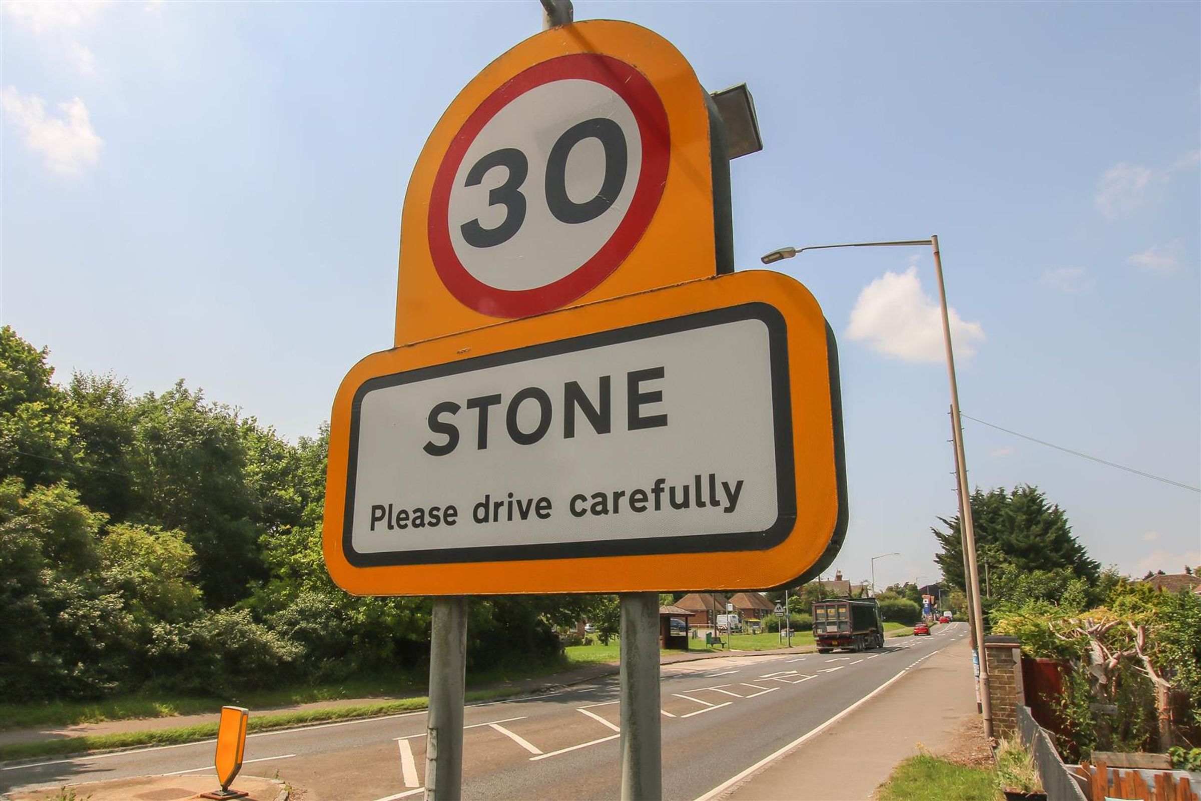 Flat Poplars Close in Stone
