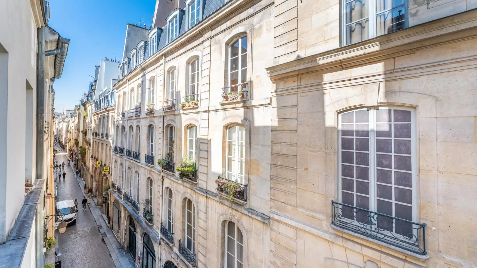 Flat Rue Dussoubs in Paris