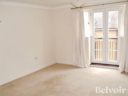 Flat Demoiselle Crescent in Ipswich