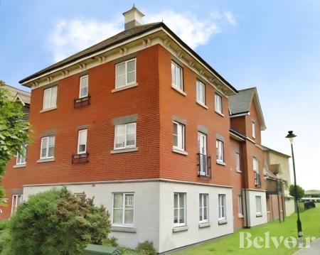 Flat Demoiselle Crescent in Ipswich