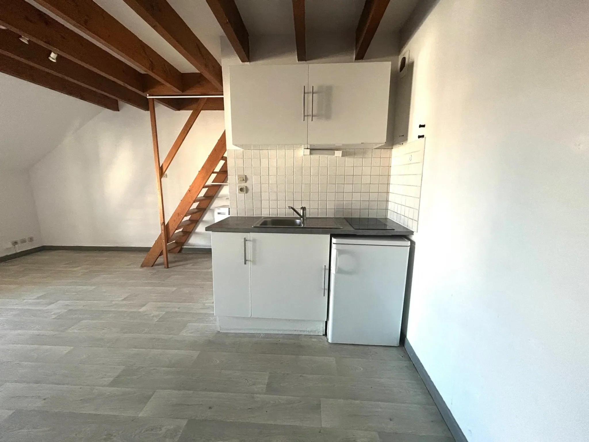 Appartement Quai Nicolas Rolin à Dijon
