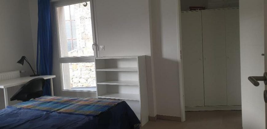 Appartement Rue Émile Reymond à Saint-Étienne