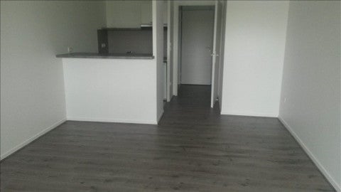 Flat Esplanade Compans Caffarelli in Toulouse
