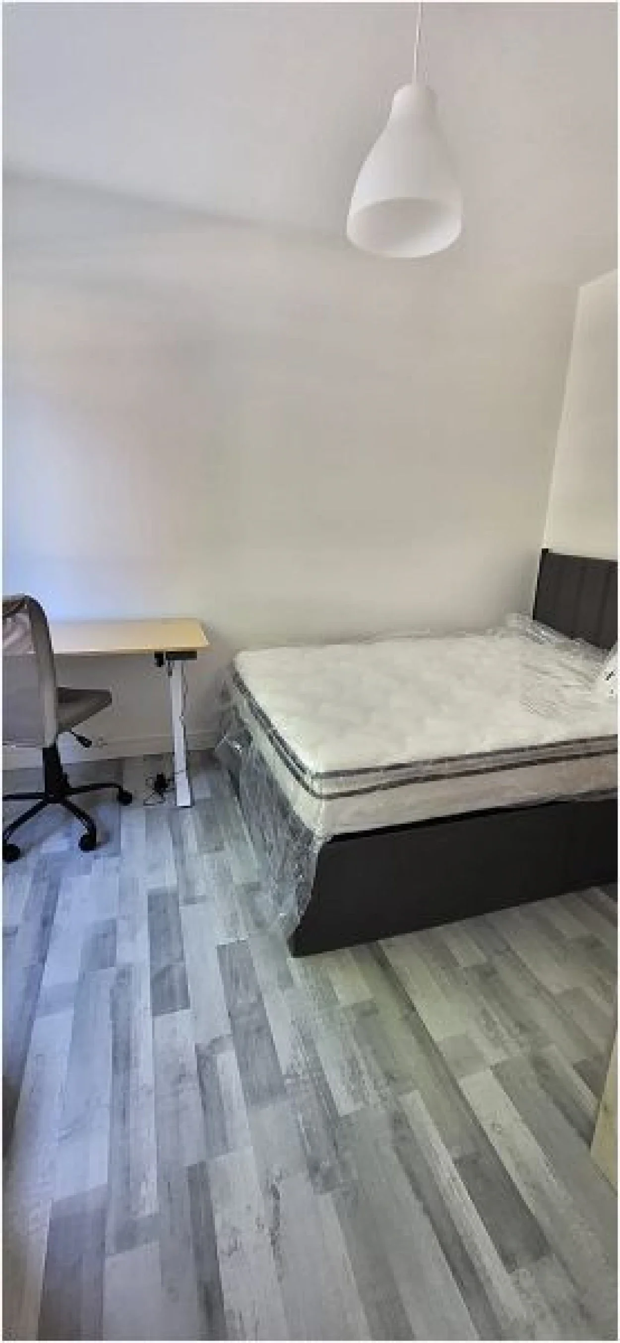 Appartement Rue Marcel Bouderiez à Villeneuve-d'Ascq