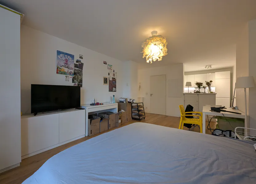 Appartement Quai Antoine Riboud à Lyon