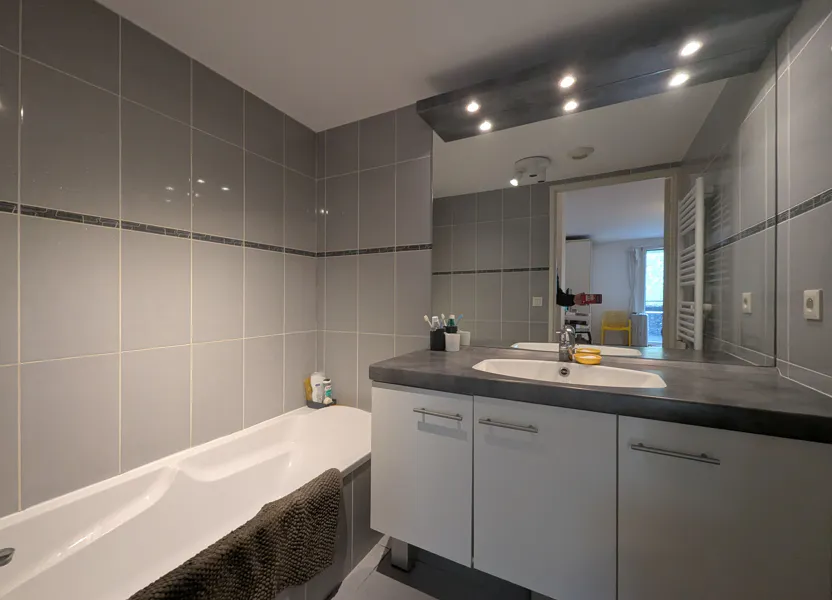 Appartement Quai Antoine Riboud à Lyon