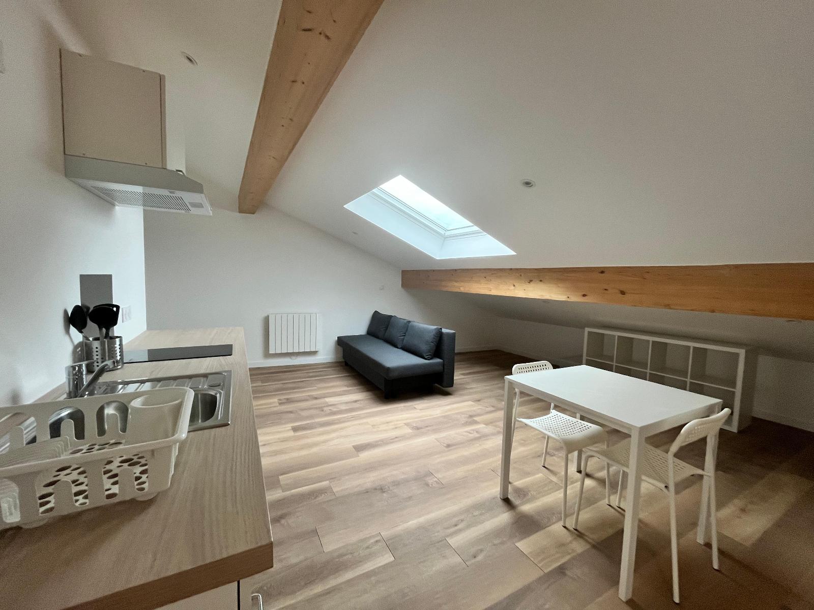 Flat Rue Georges Teissier in Saint-Étienne