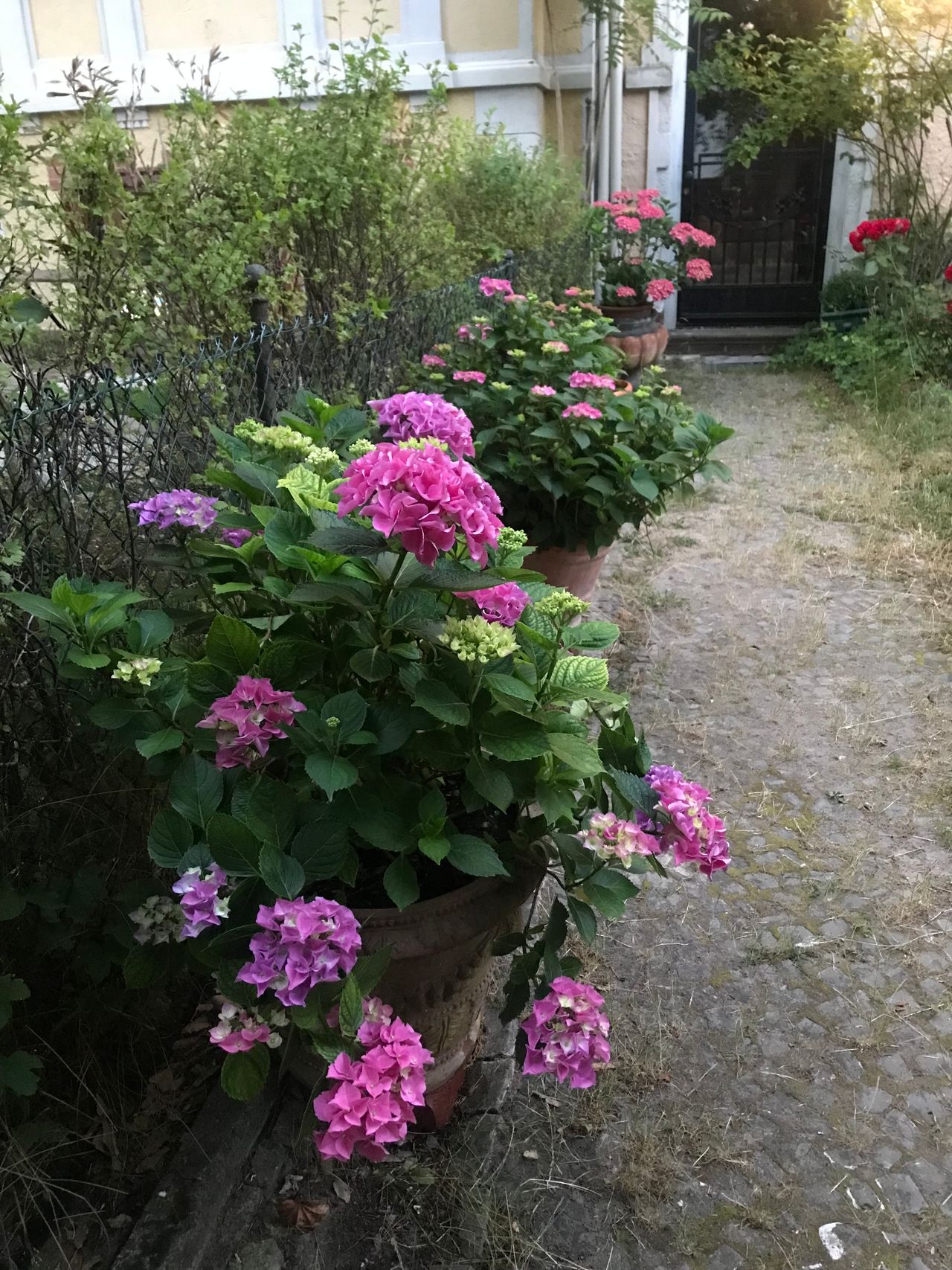 Wohnung Potsdamer Straße in Berlin