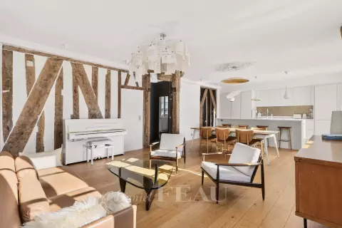 Flat Rue de Bourgogne in Paris
