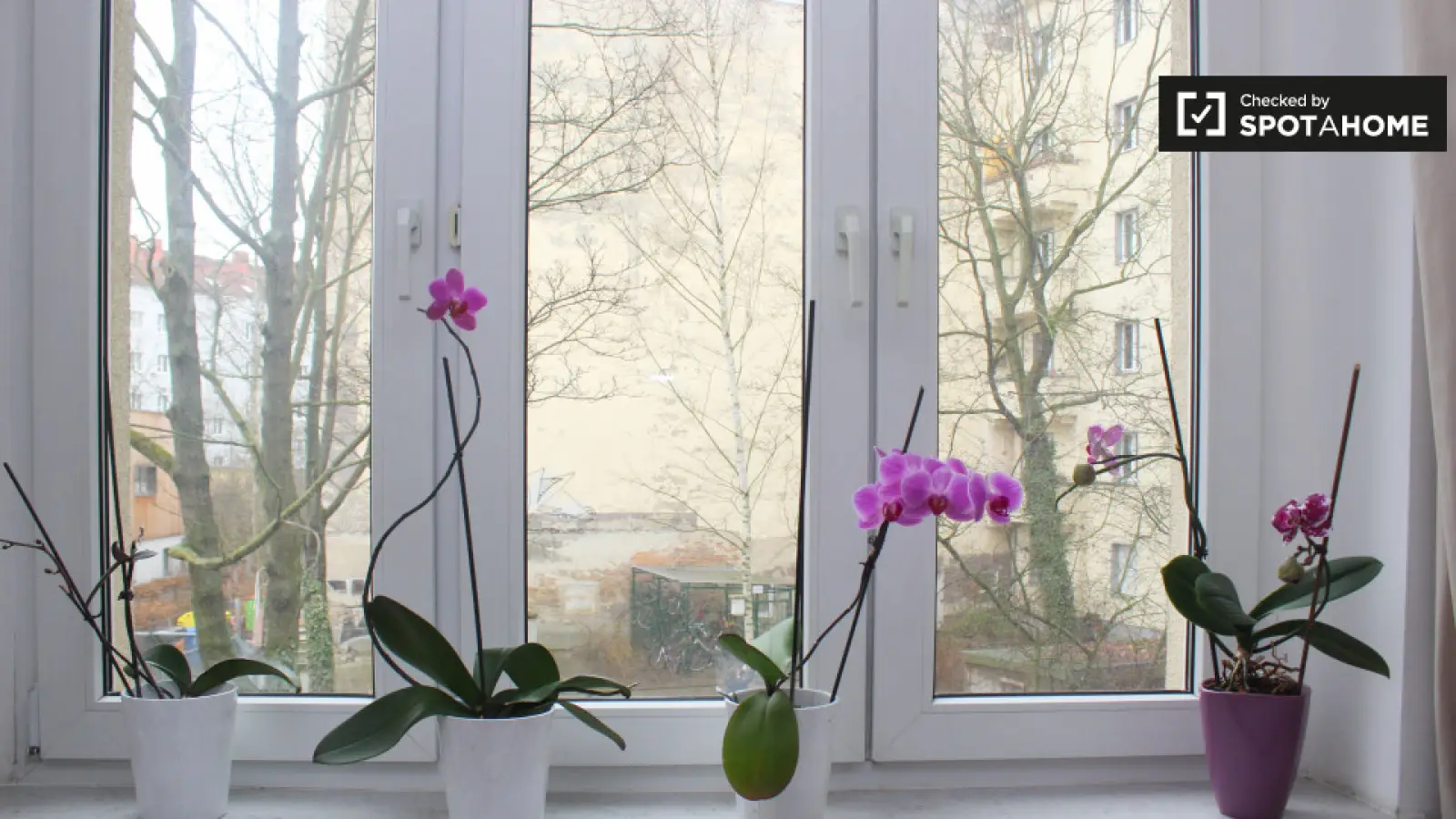 Wohnung Neue Krugallee in Berlin