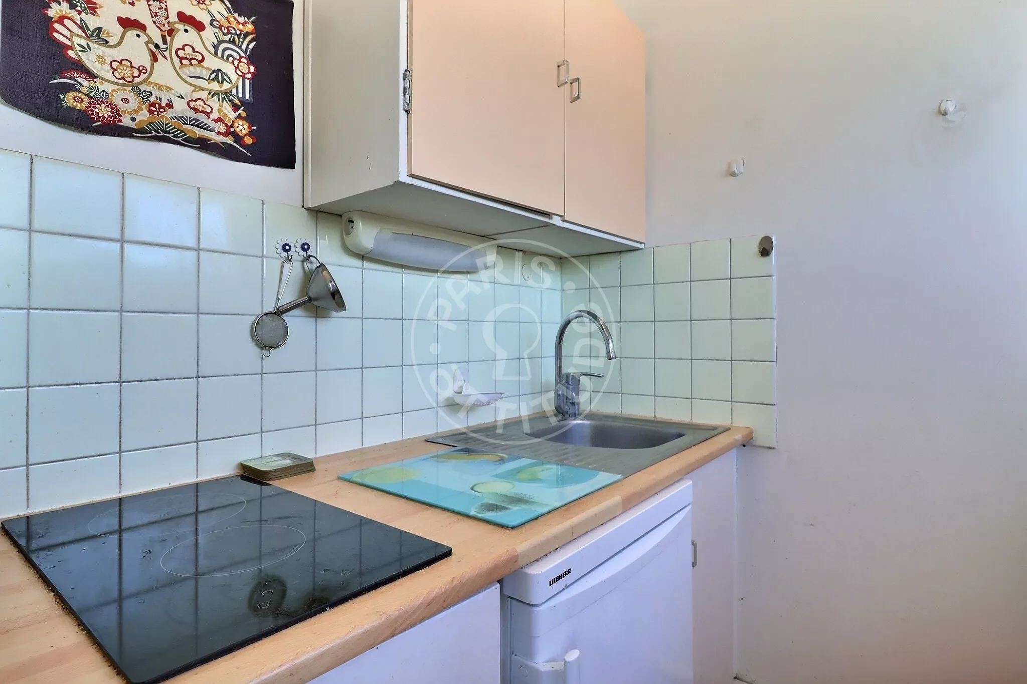 Flat Rue Rouelle in Paris
