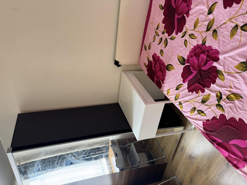 Room North Gower Street in Greater London