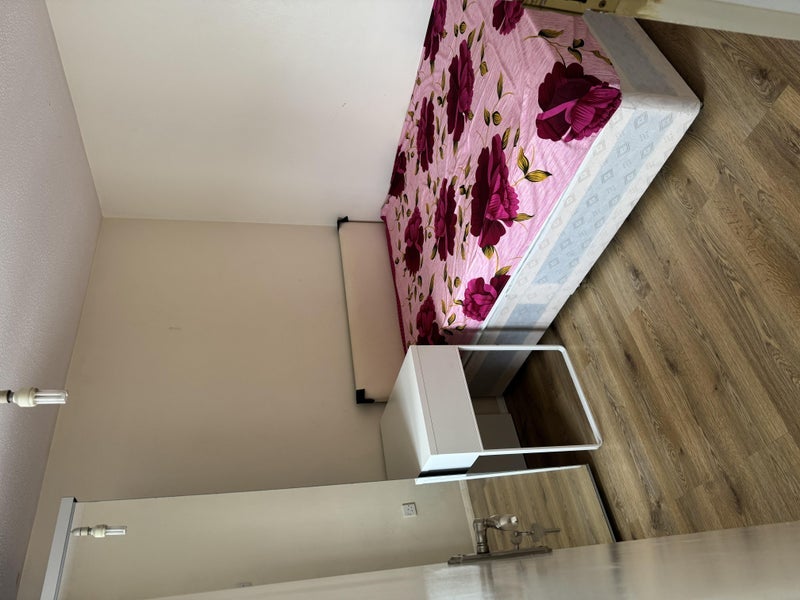 Room North Gower Street in Greater London