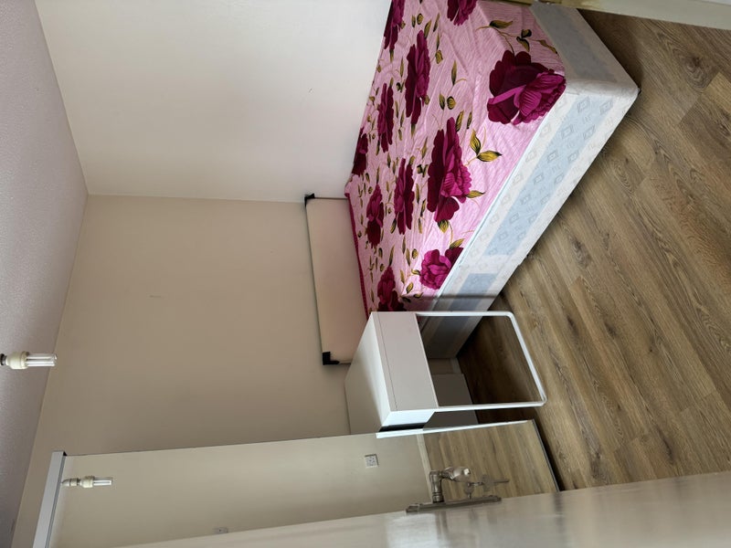 Room North Gower Street in Greater London