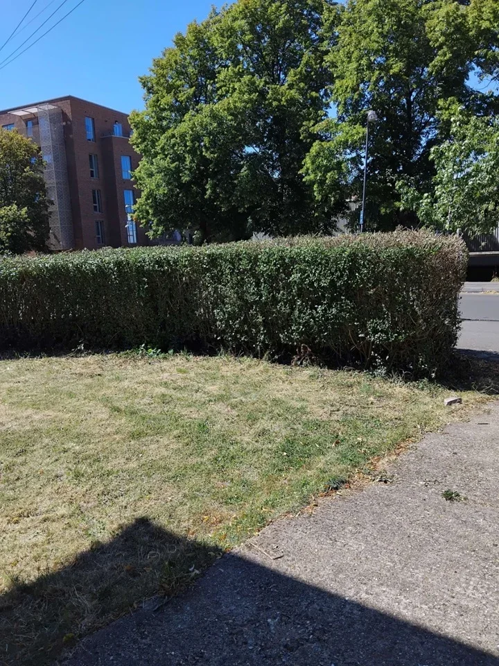 Flat Glenwood Close in Greater London