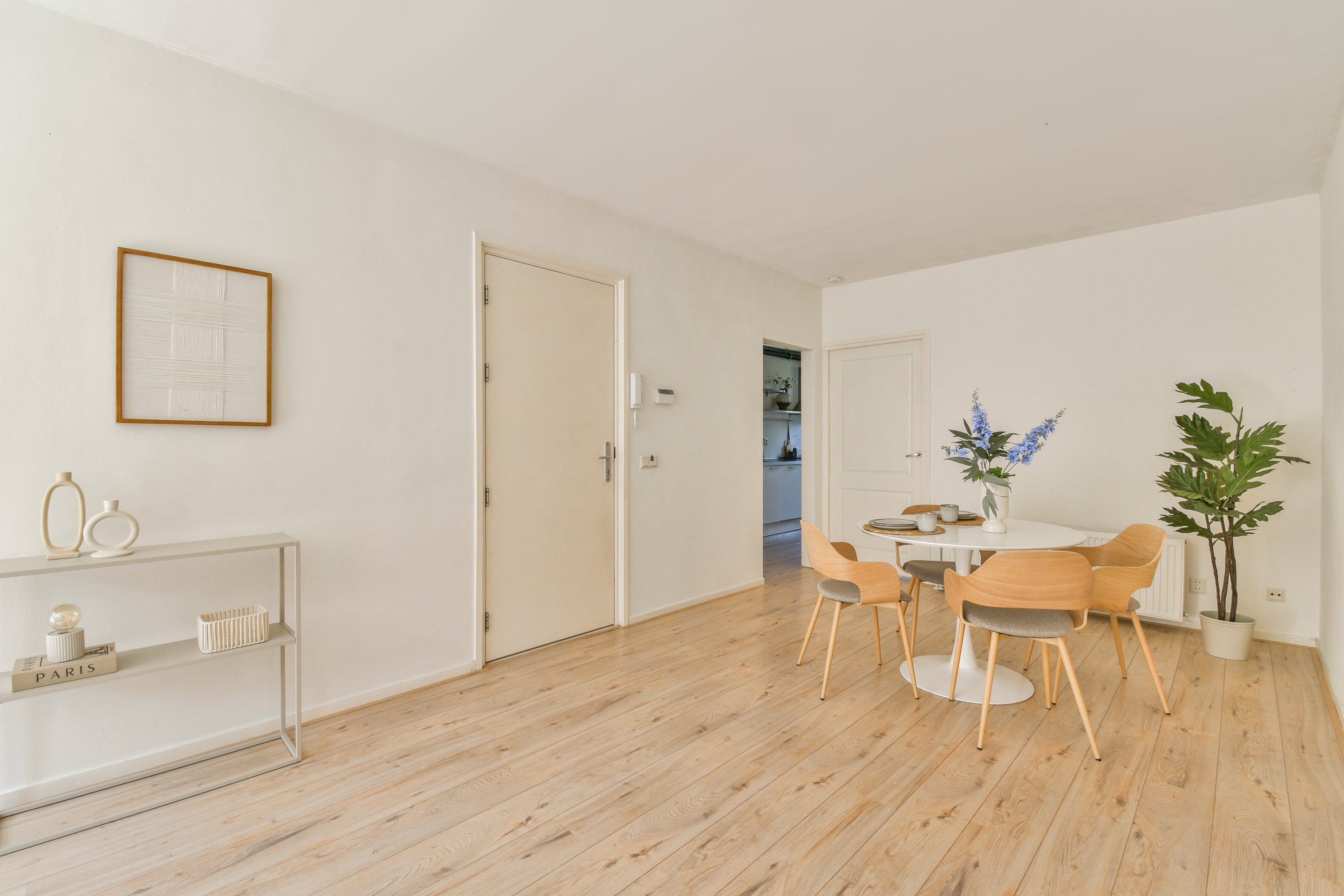 Appartement te koop: Van Ostadestraat 169-2, Amsterdam