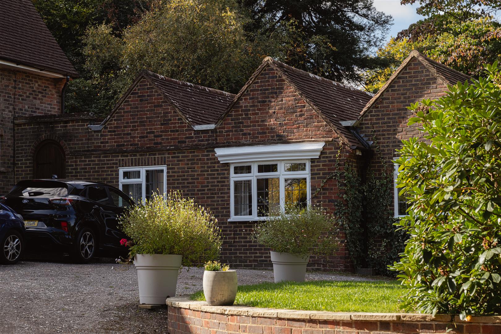 Flat Deepdene Wood in Mole Valley