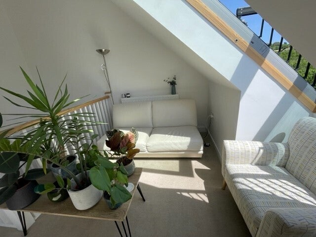 Flat Boscawen Woods in Truro