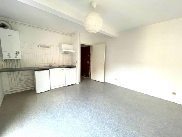 Flat Quai Saint-Pierre in Toulouse