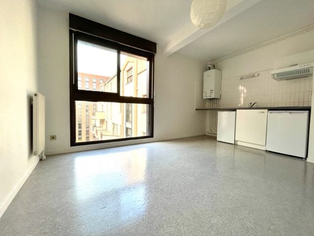 Flat Quai Saint-Pierre in Toulouse