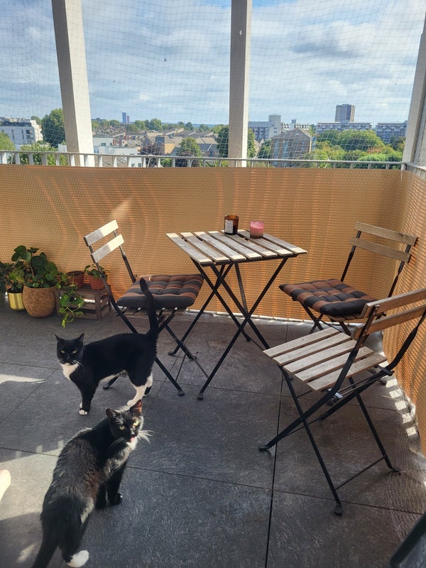 Room Maple Path in Greater London