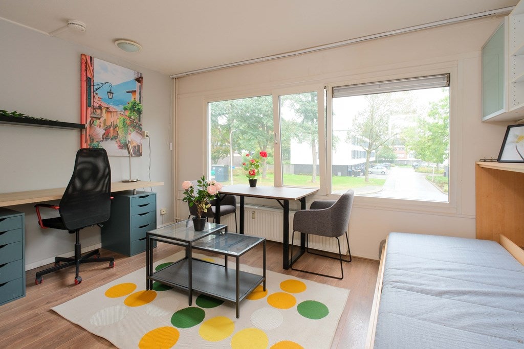 Studio te koop: Het Lang 88-1, Enschede