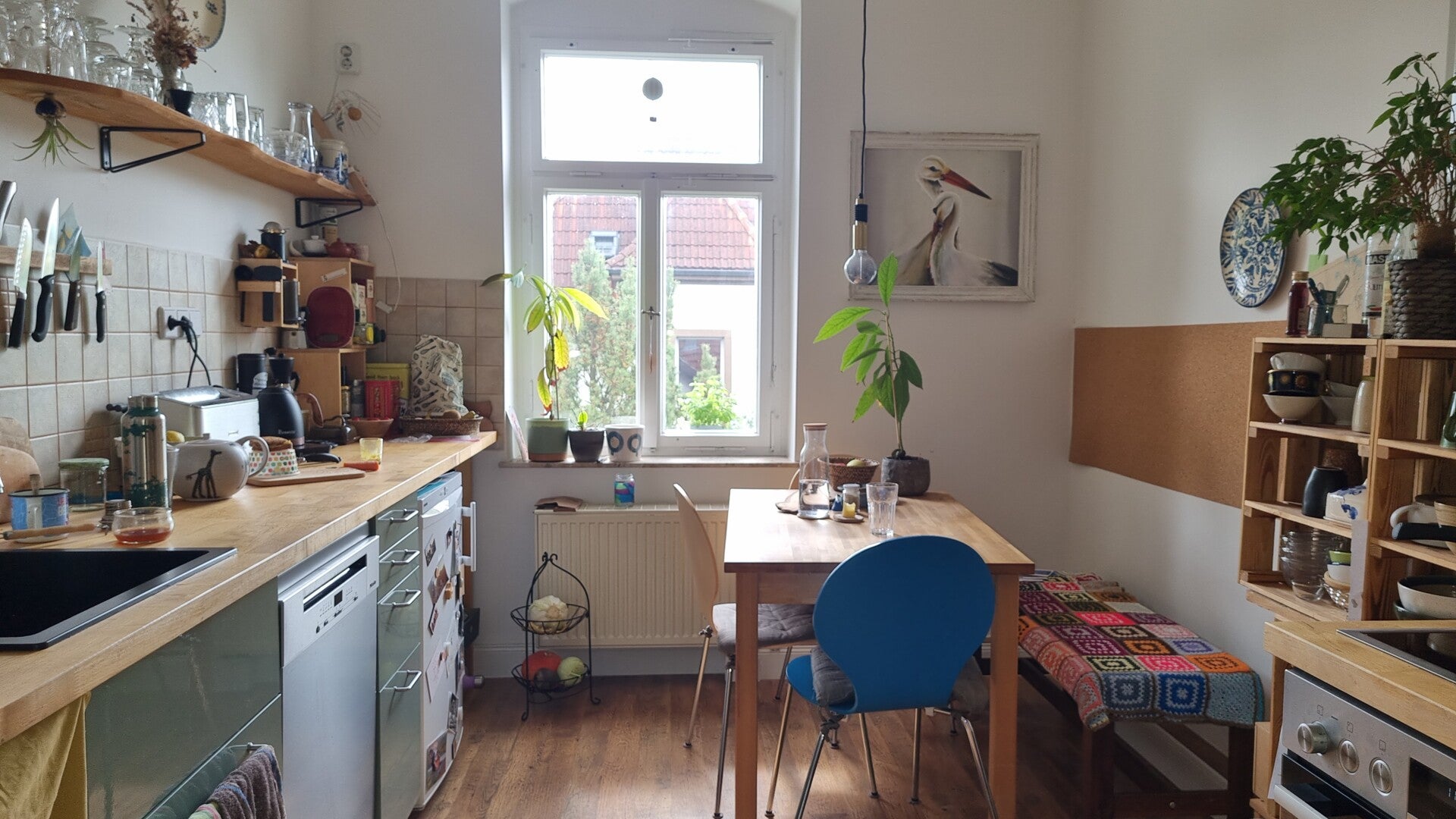 Wohnung Wilthener Straße in Dresden