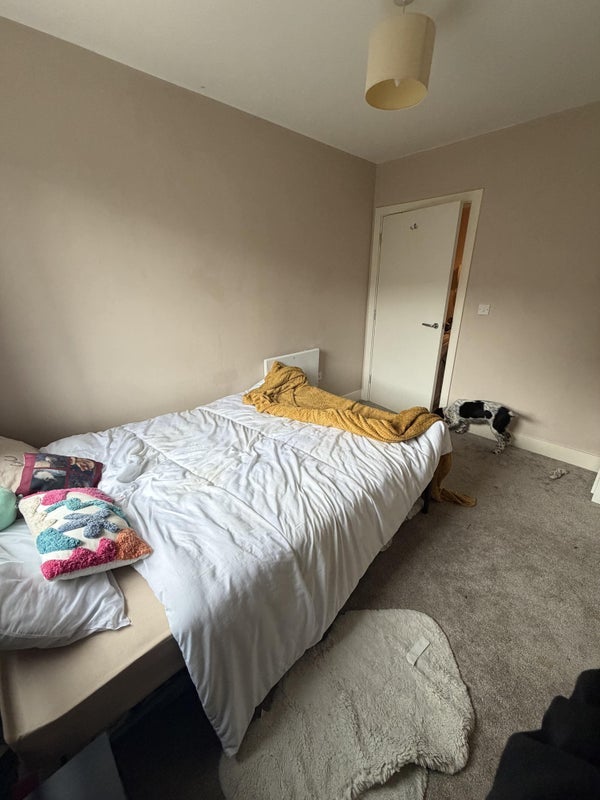 Room Butetown Link in Cardiff