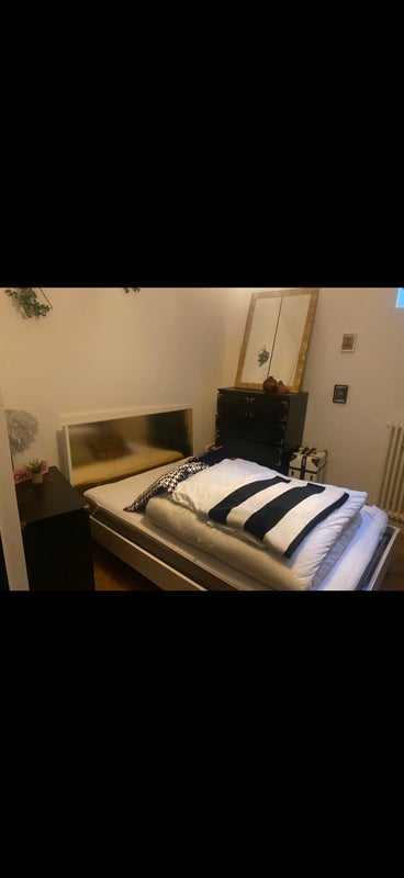 Room Tregothnan Road in Greater London