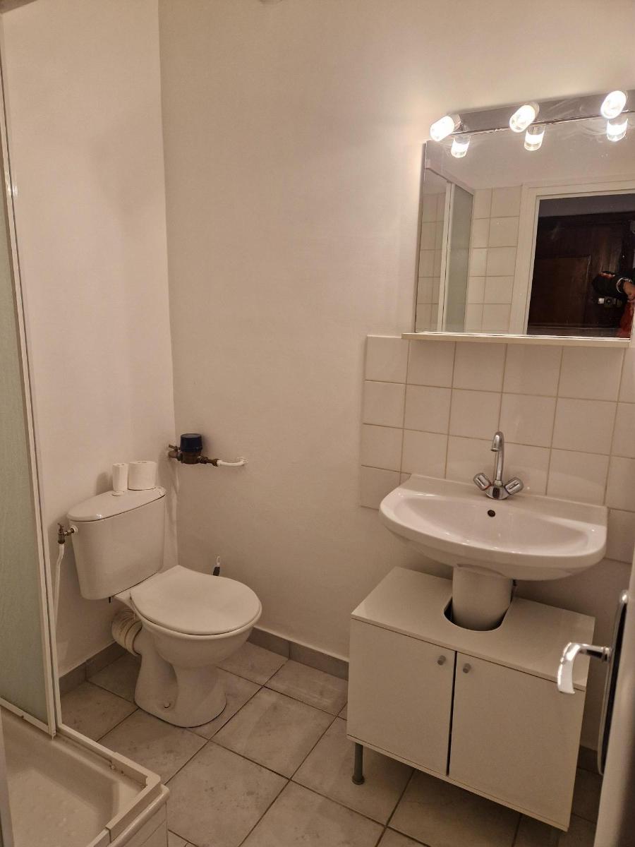 Appartement Rue du Professeur Beauvisage à Lyon