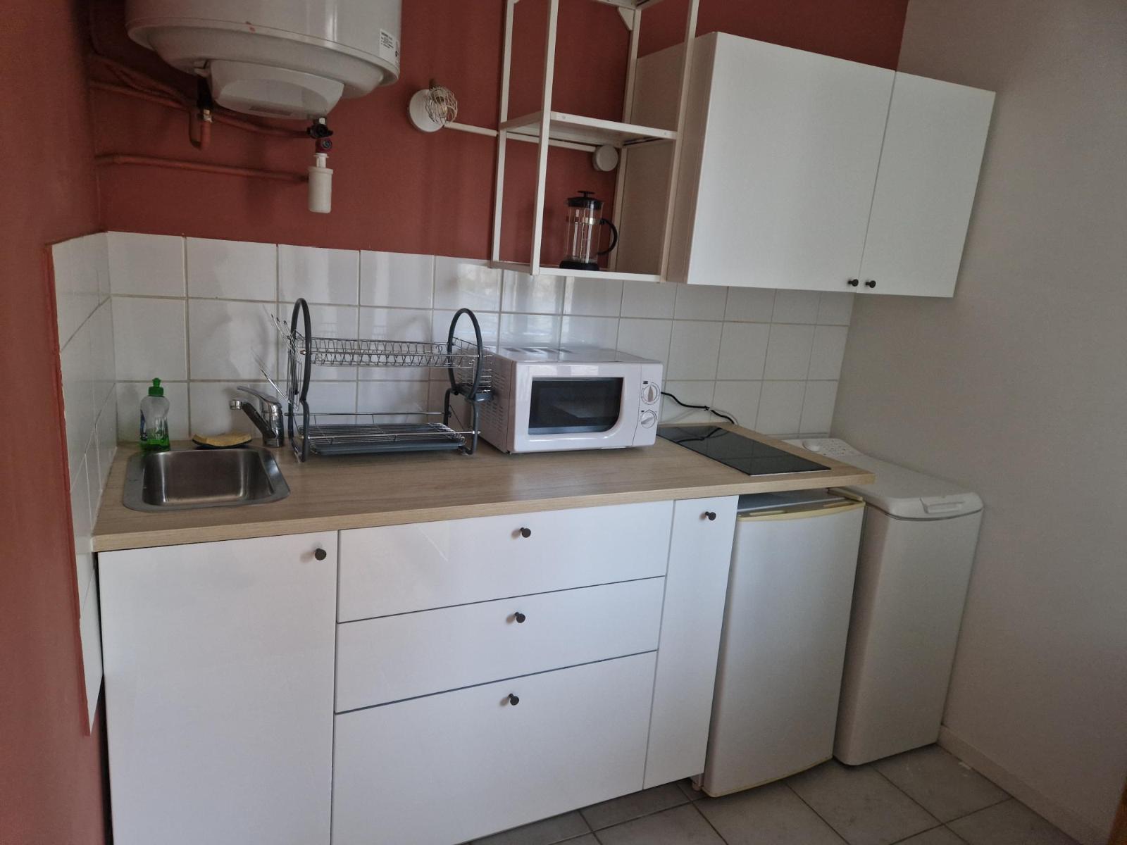 Flat Rue du Professeur Beauvisage in Lyon
