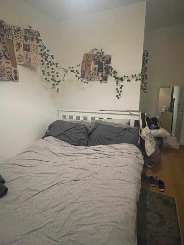 Room Endymion Road in Greater London