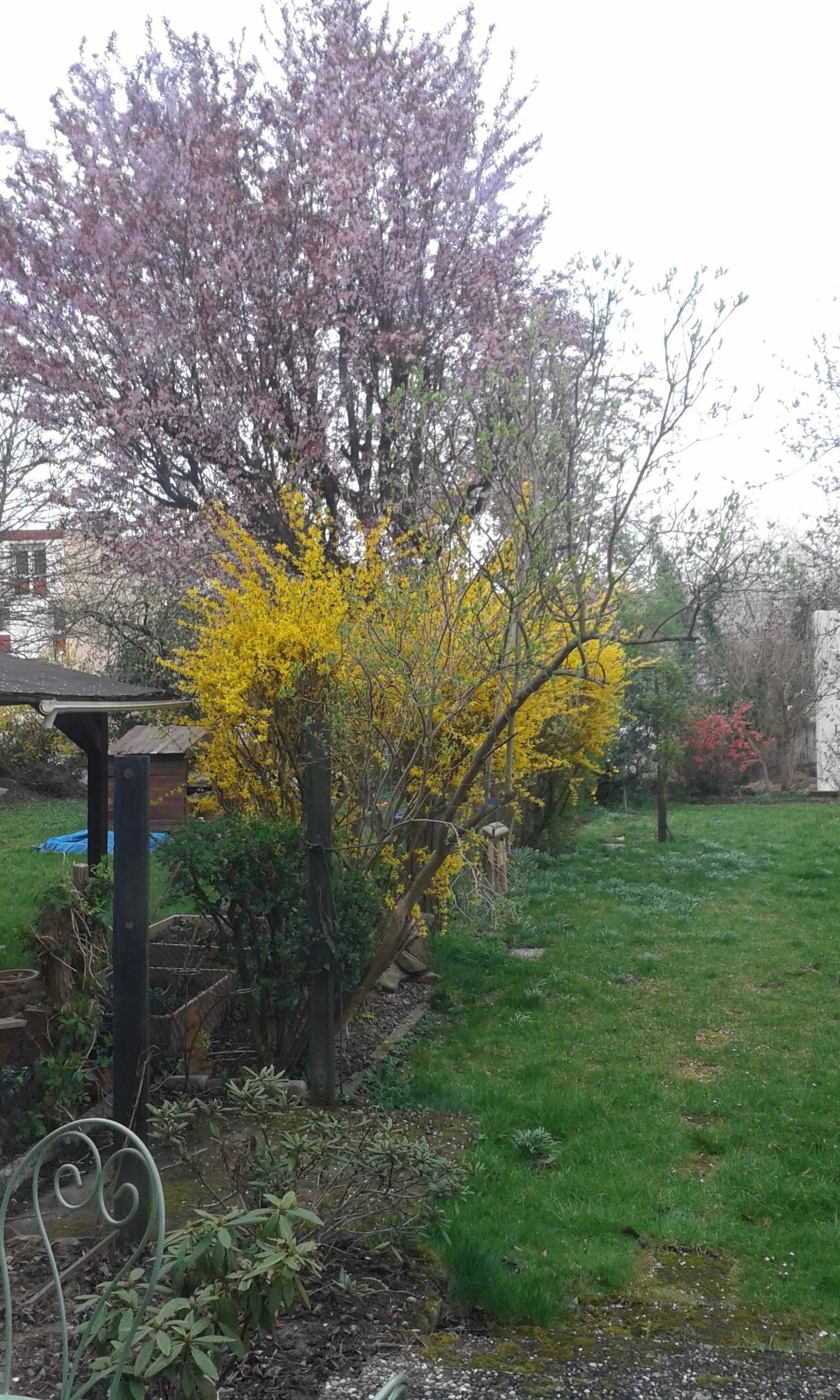 Room Rue Lothaire in Strasbourg